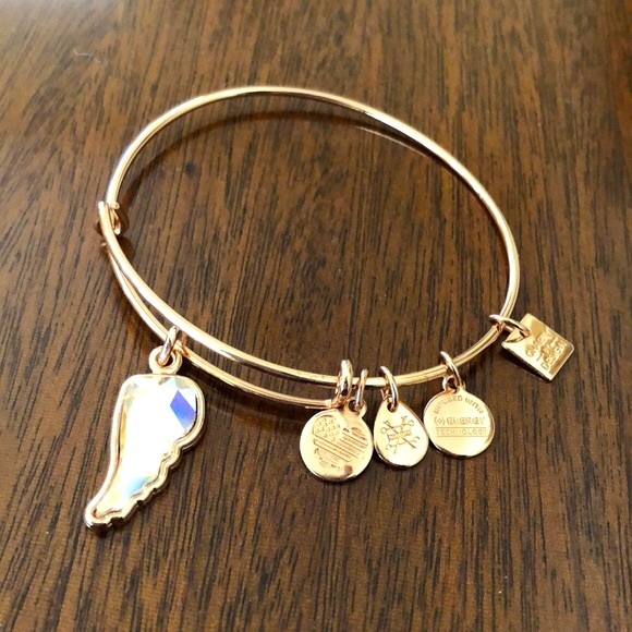 Alex and Ani Guardian Wing Charm Bracelet - Picture 1 of 12